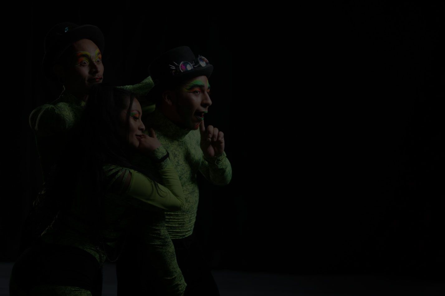 ARTISTAS PROFESIONALES